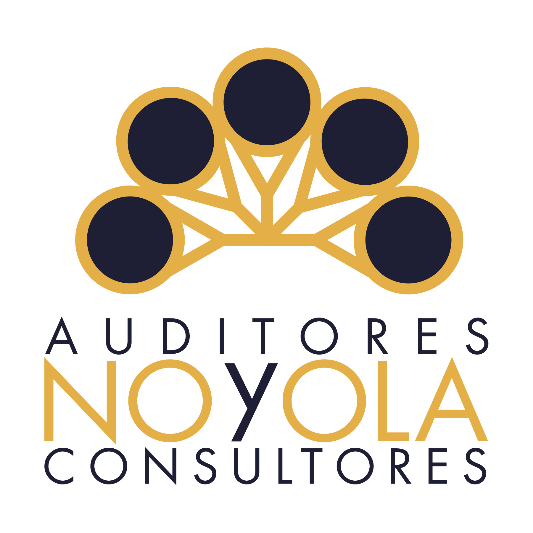 Auditores y Consultores Noyola